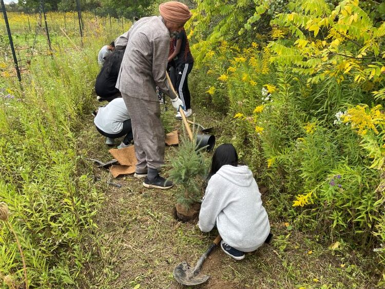 Tree Planting Events Prove Popular Amongst Youth and Seniors Alike