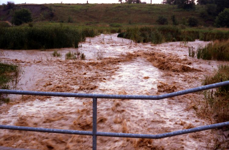 Flooding and erosion in Etobicoke Creek valley