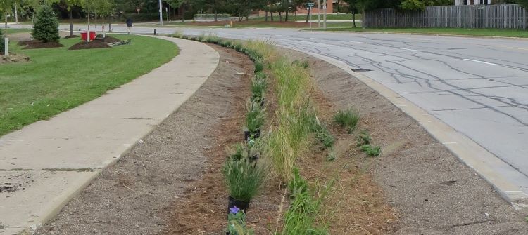 Low impact development