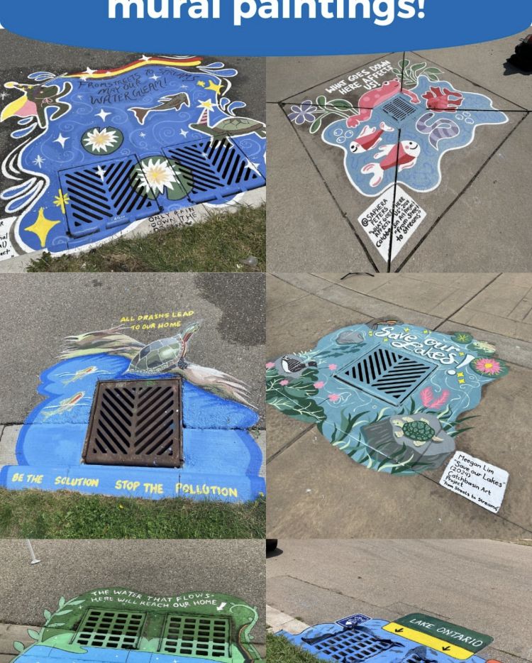 Storm sewer grates in Fletchers Creek SNAP painted by local artist