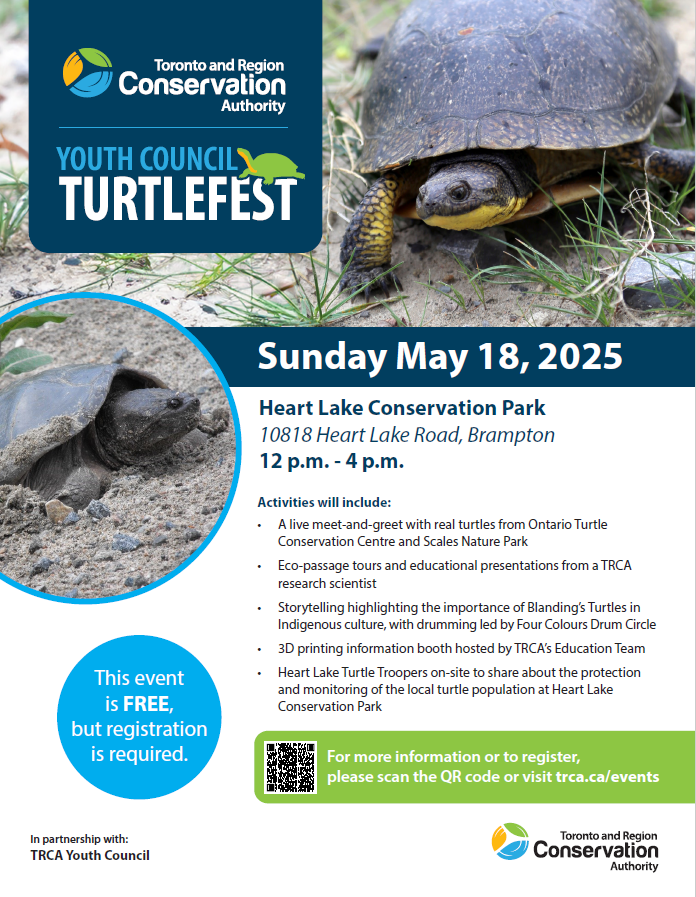 TRCA Youth Council Turtlefest