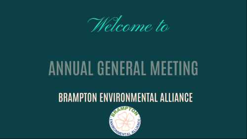 BEA 2025 Year End Video