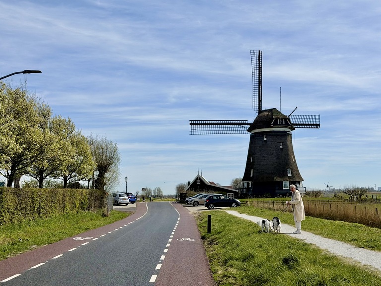 Wornerf "living" street